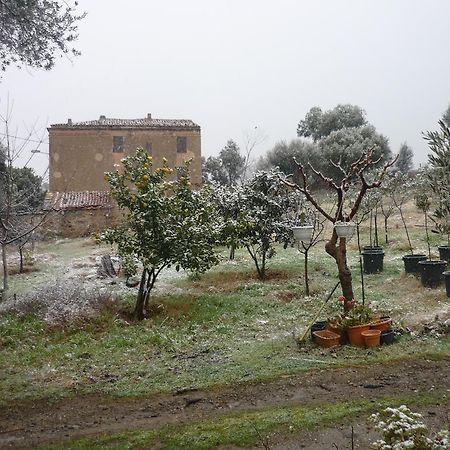 B&B Pietra-Monetta Pietra Moneta Luaran gambar