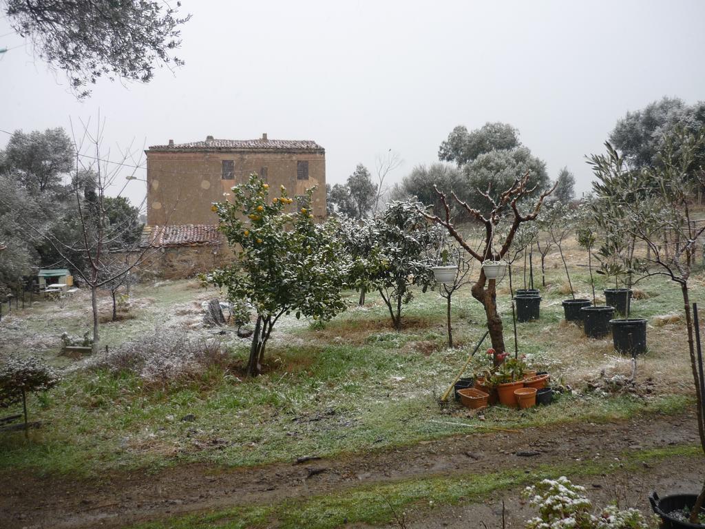 B&B Pietra-Monetta Pietra Moneta Luaran gambar